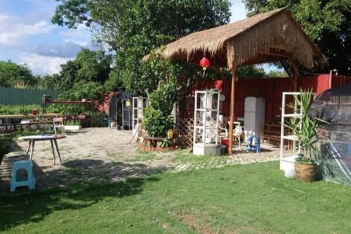 Students will take care of the fresh vegetable plot